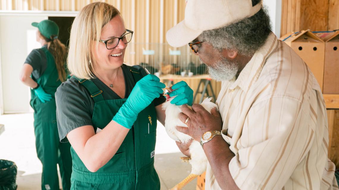 Bird flu cases rise nationally in commercial flocks, but none reported in Colorado poultry