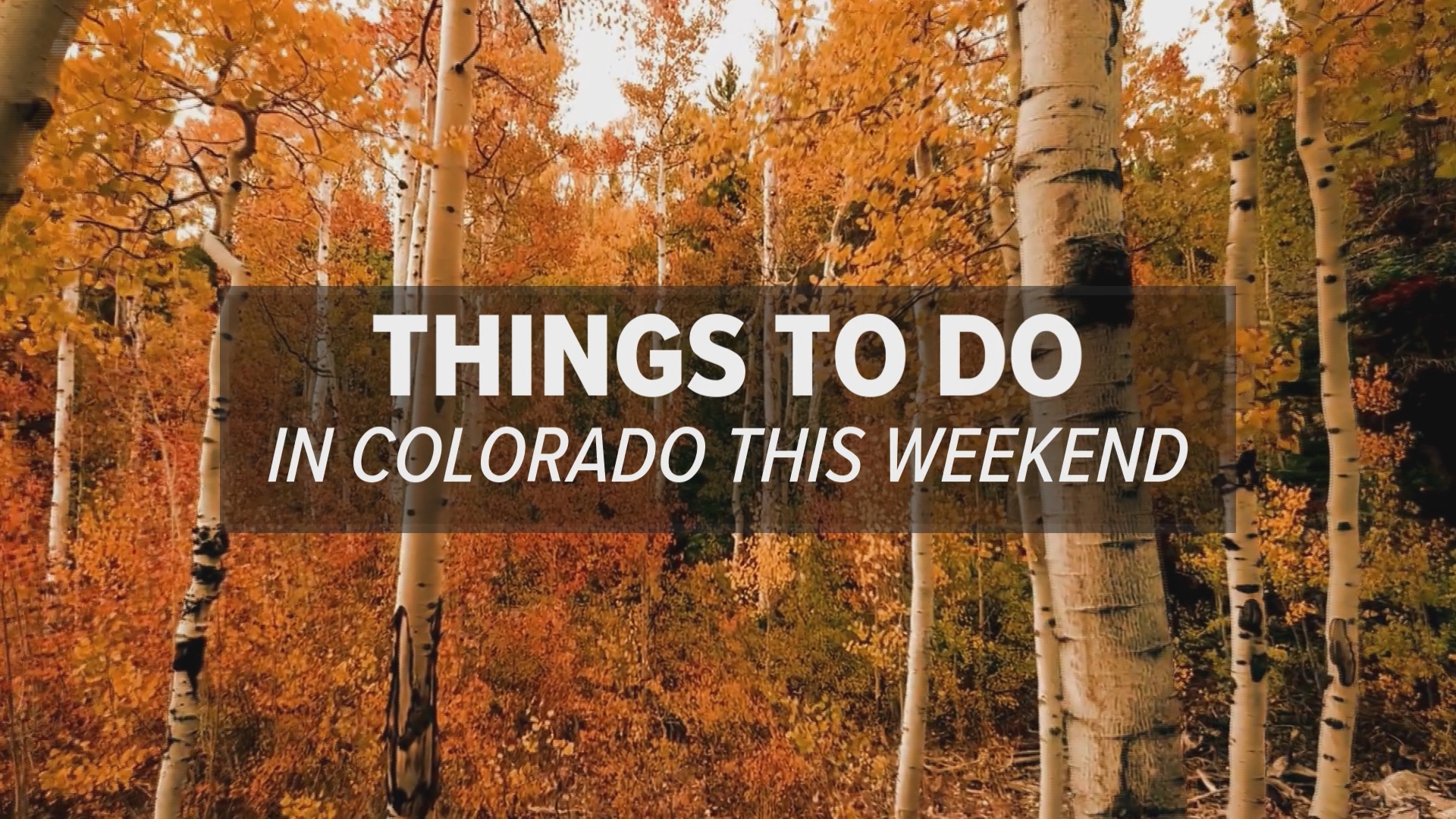 Harvest festivals, corn mazes and searching for the brightest yellow leaves offer Colorado-style fun this fall weekend.