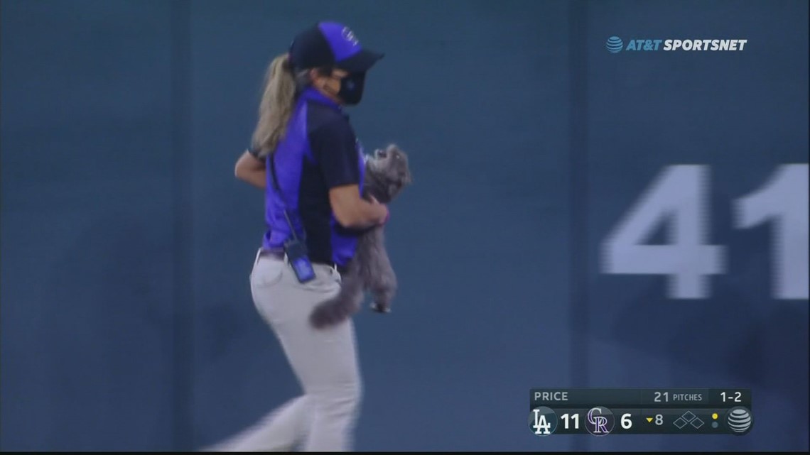 Purr-fect night: Bauer wins LA debut, cat on field at Coors – KXAN