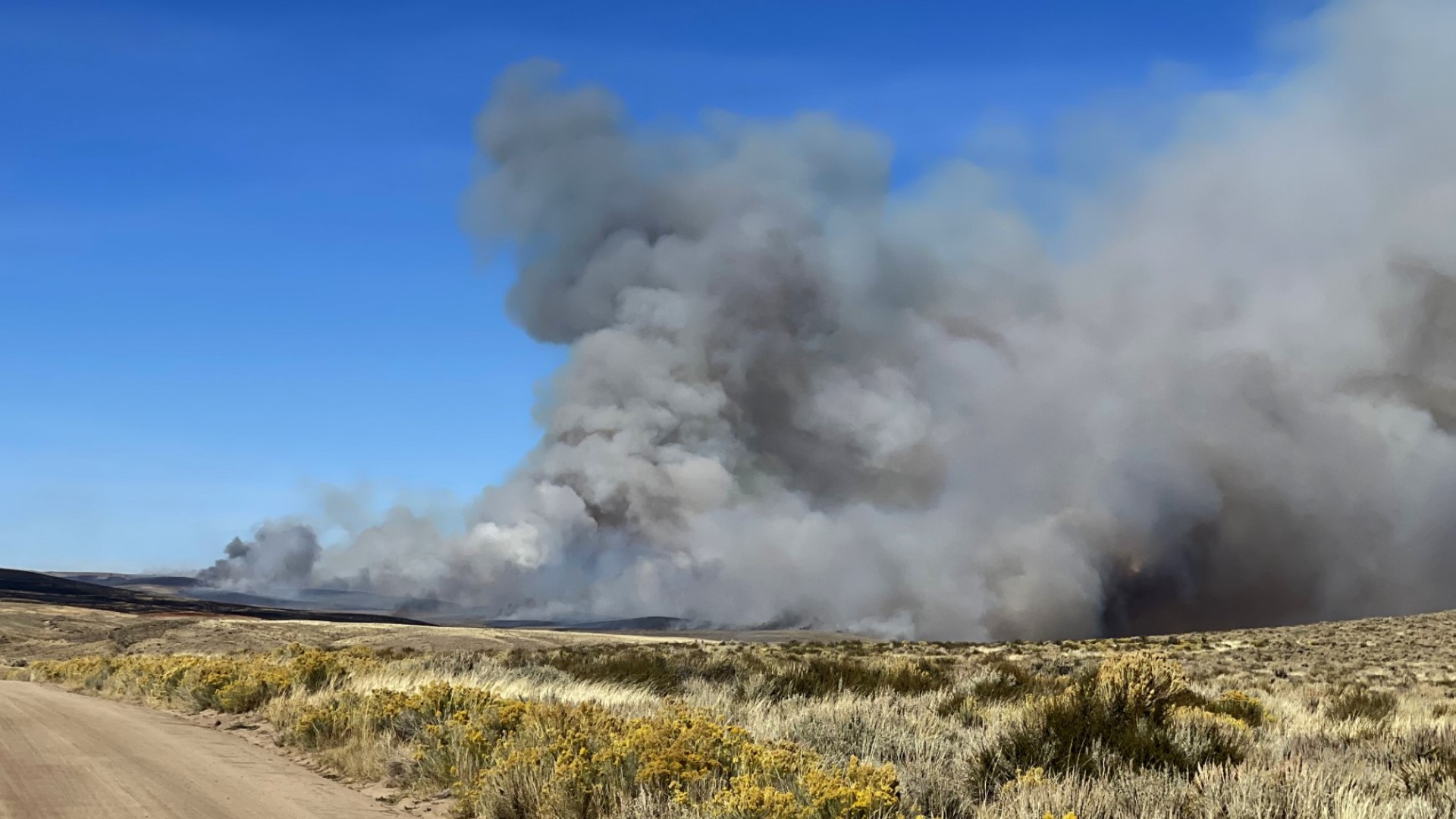 A forest fire in Moffat, Colorado - 24ssports