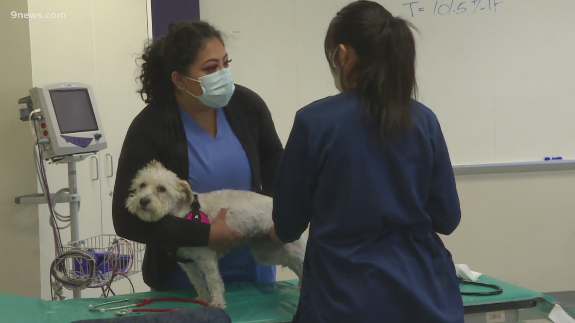 Students will work in local veterinary clinics more than 2,000 hours in addition to taking classes.