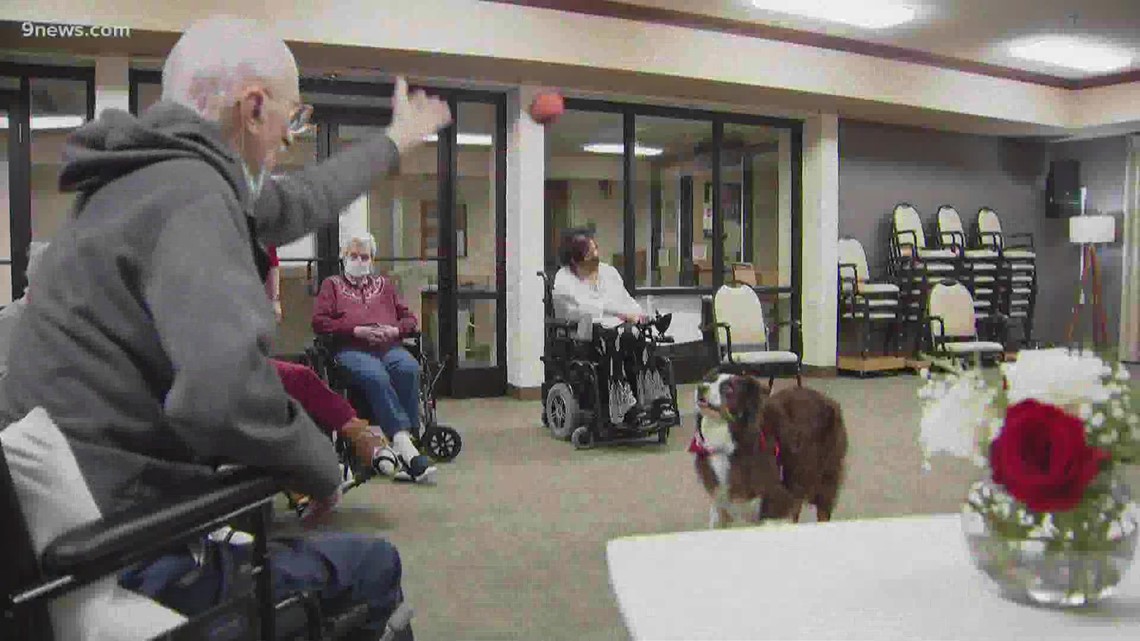 Nursing homes allowed to let therapy dogs visit since pandemic