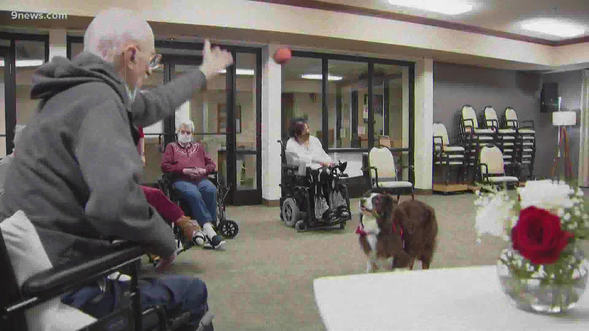 For the first time since the pandemic, nursing are allowed to have therapy animals visit residents to lower stress and ease feelings of loneliness.