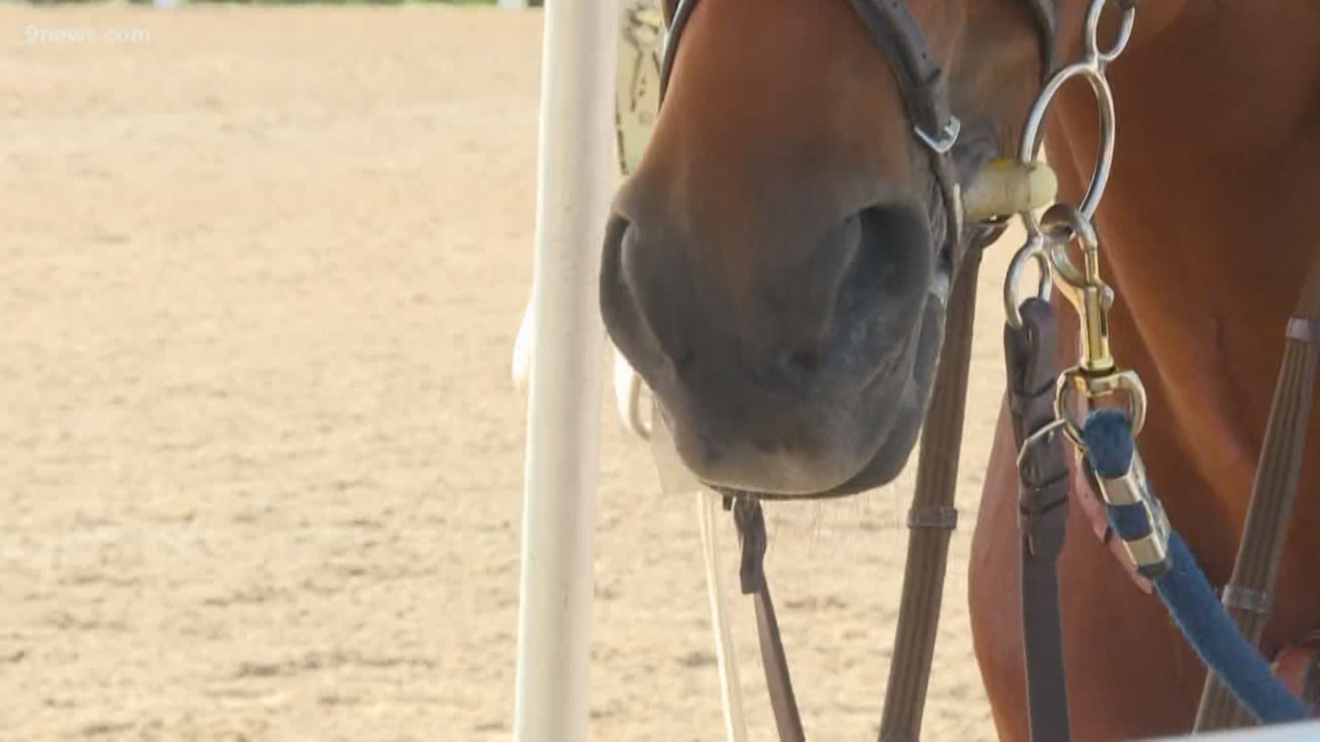 Twenty-six cases of the Vesicular Stomatitis Virus have been reported in three counties. One horse park is taking extra precautions to make sure the animals don't get sick.