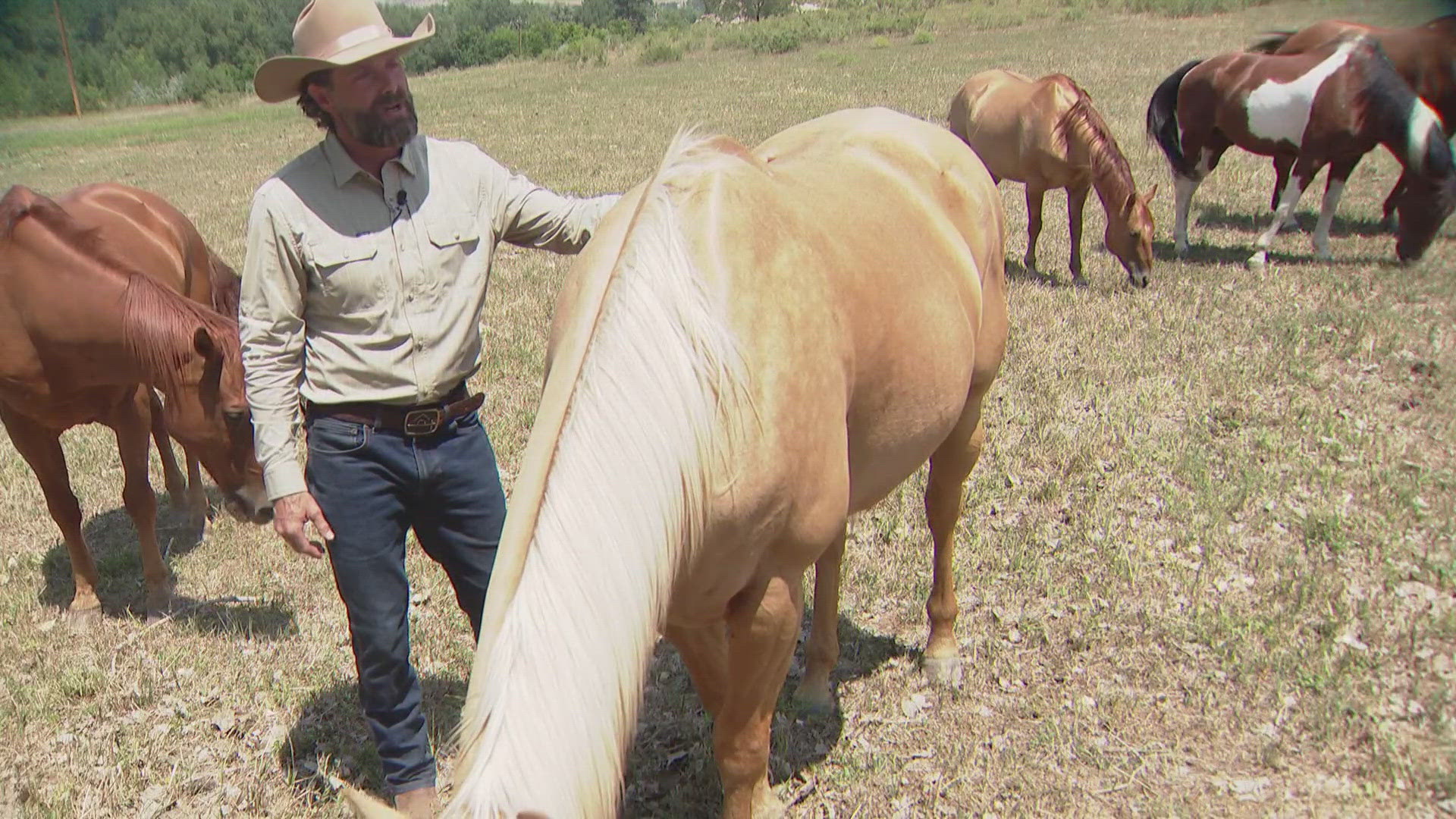 More than 5,000 people are under mandatory evacuation and are waiting for answers about their homes. Some of those waiting for answers are from Sylvan Dale Ranch.