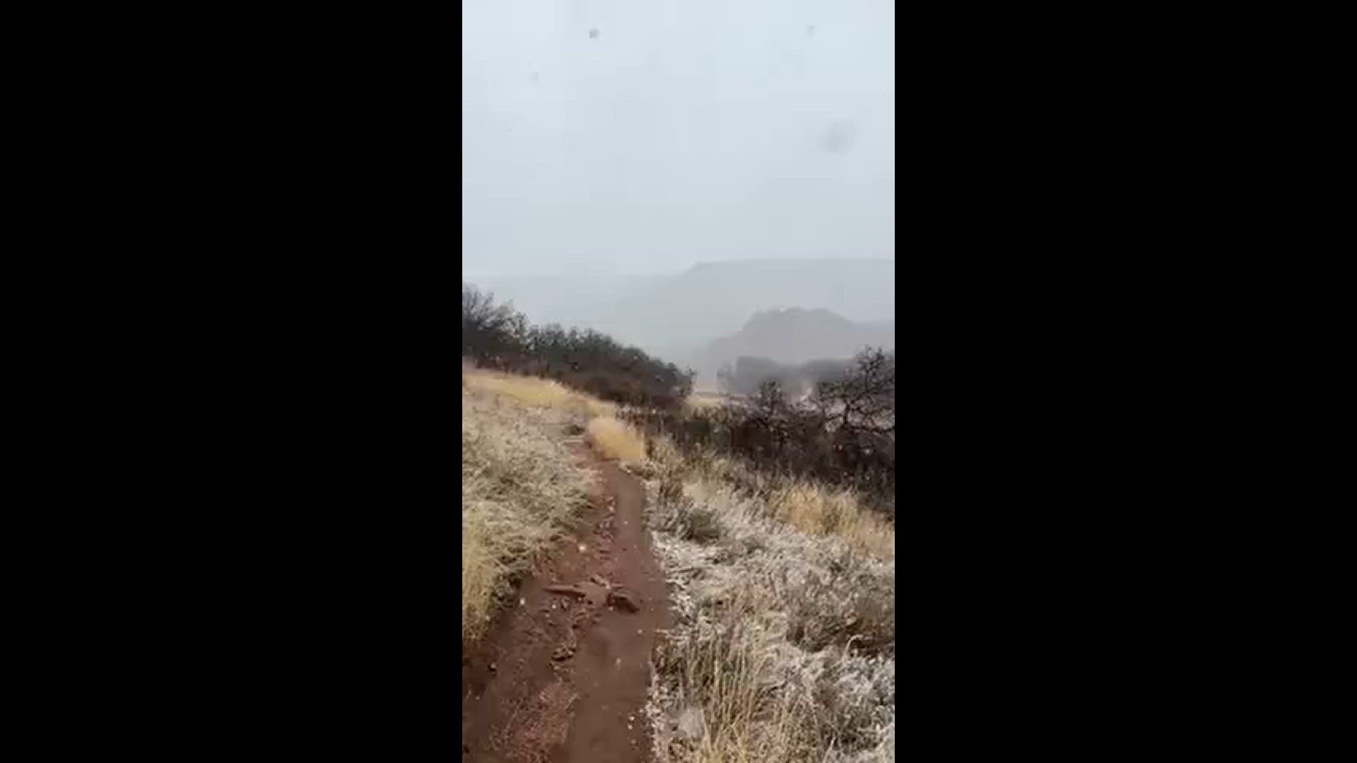 I started on the trail to Carpenter’s Peak around 10:15- by 10:30 it was snowing pretty good!
Credit: Julie Romano