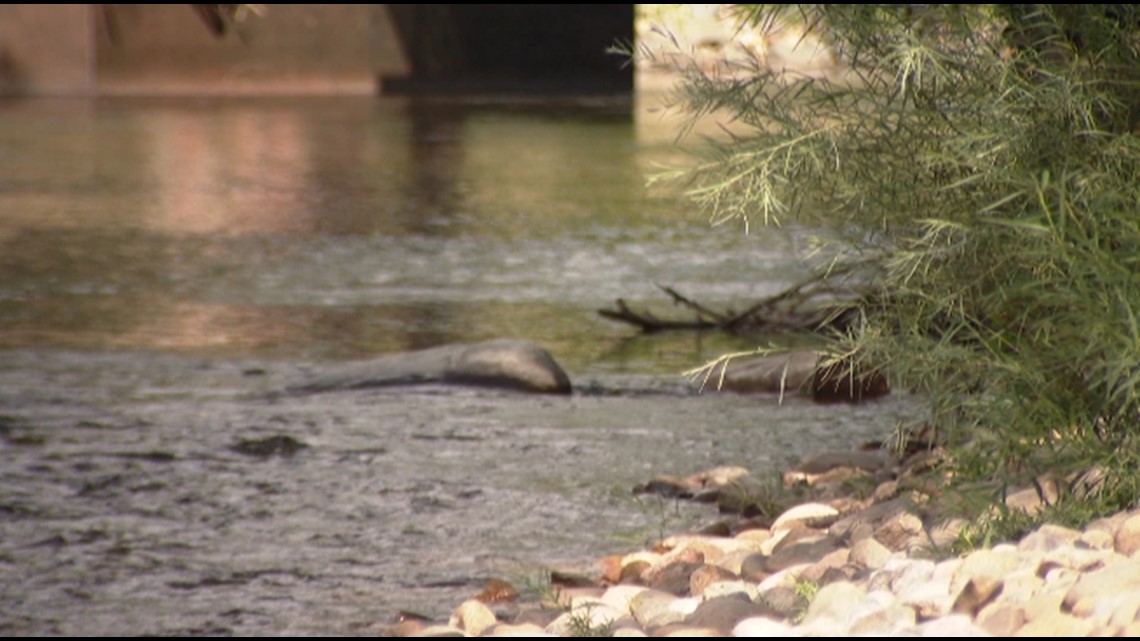 Why is there so much water in the Poudre right now? Eastern plains users  give the river a late boost