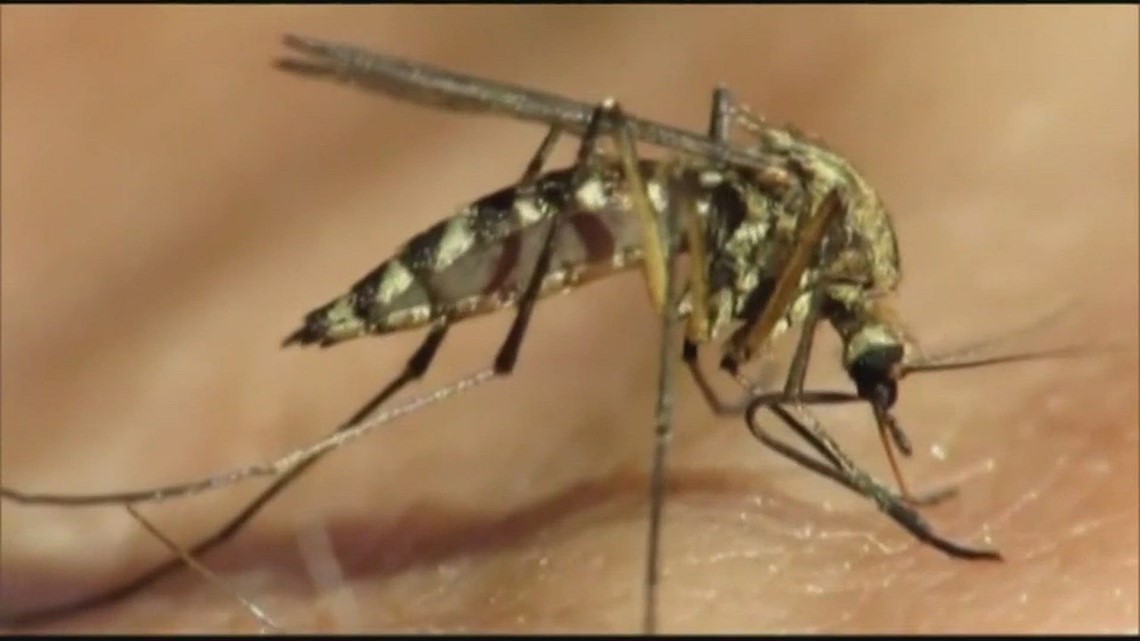 Colorado braces for another bad mosquito season