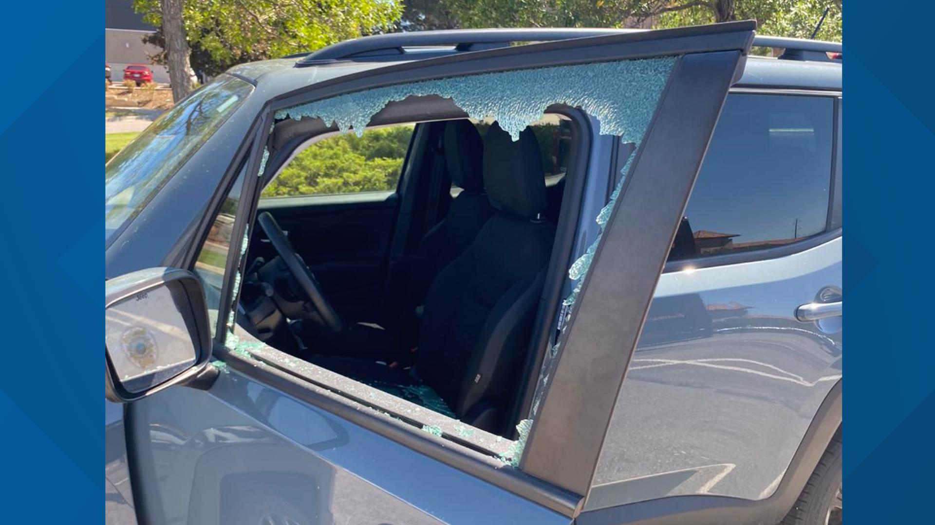 Lakewood Police rescue puppy from hot car | 9news.com