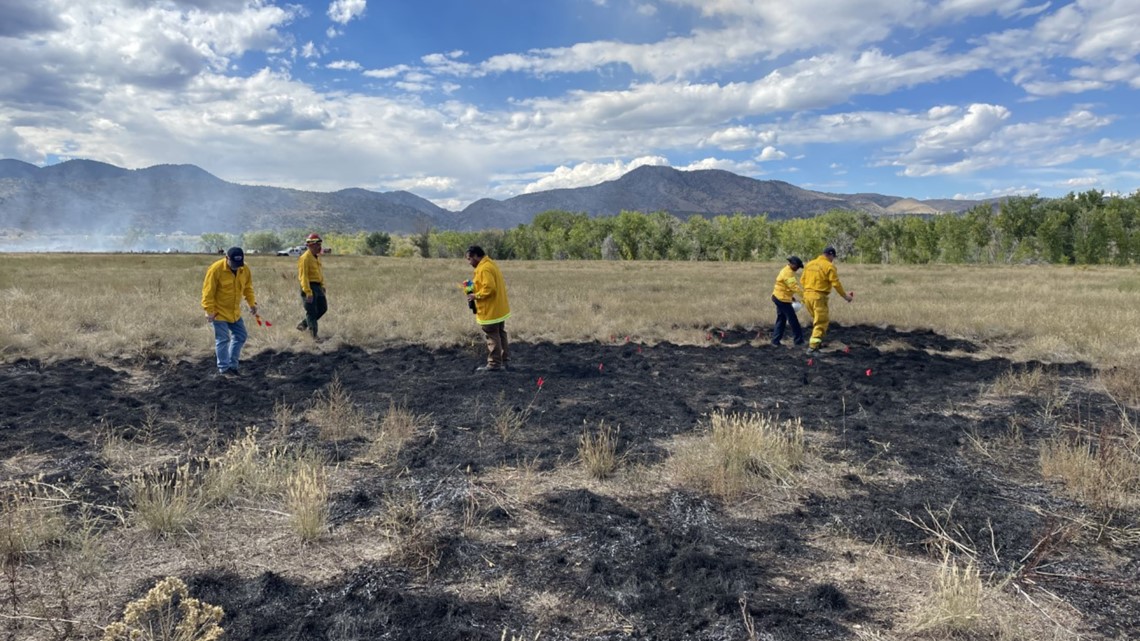 Bear Creek Lake Park Hosts Training Wildland Fire Investigators | 9news.com