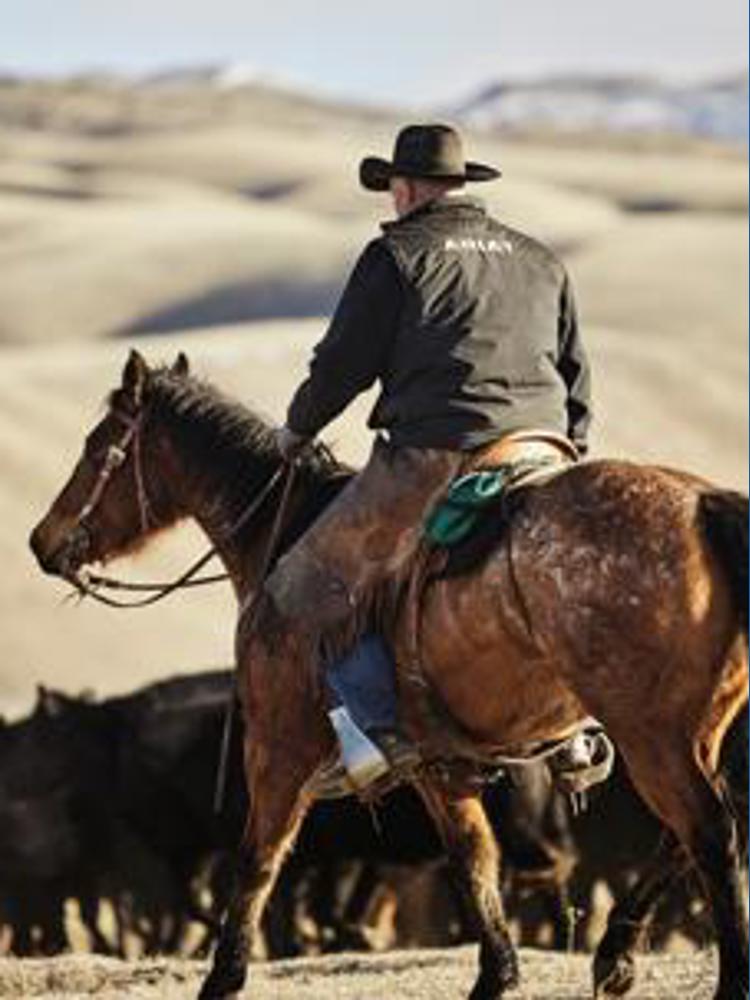 Ariat opens new clothing store in Larimer Square in Denver | 9news.com