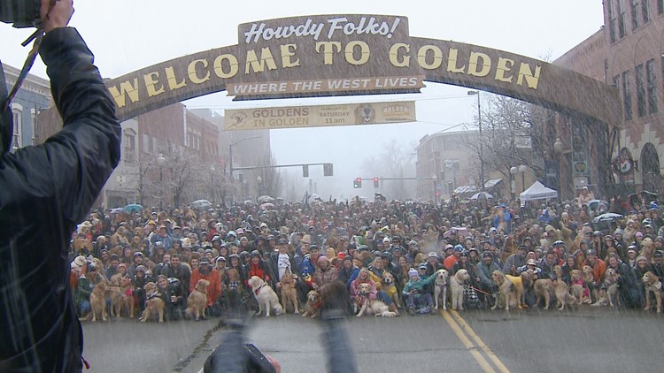 Goldens In Golden Goes On Despite Snow 9news Com   Be2175af 0e18 405e Bc21 0a673386839f 750x422 