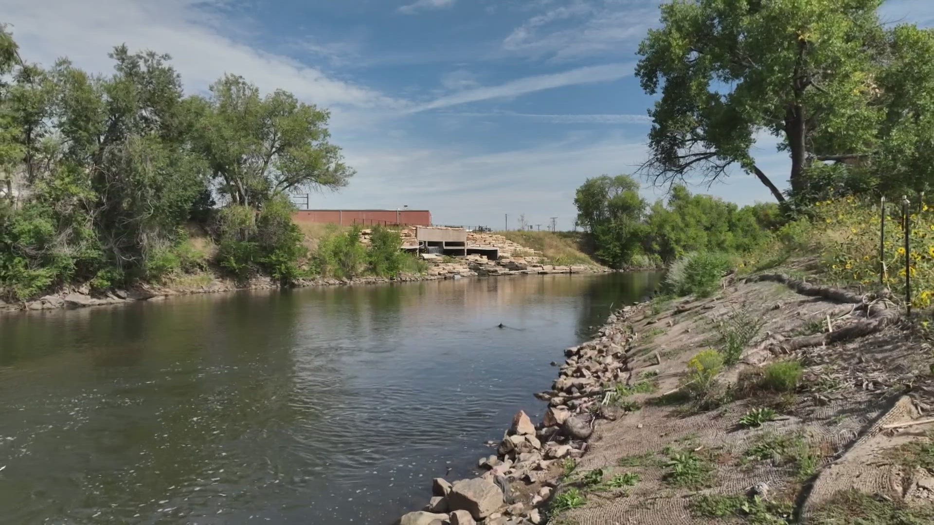 Lluvia Robles-Banuelos and Jeremy Hutcheson were shot and killed in separate incidents near the South Platte River bike path earlier this month.