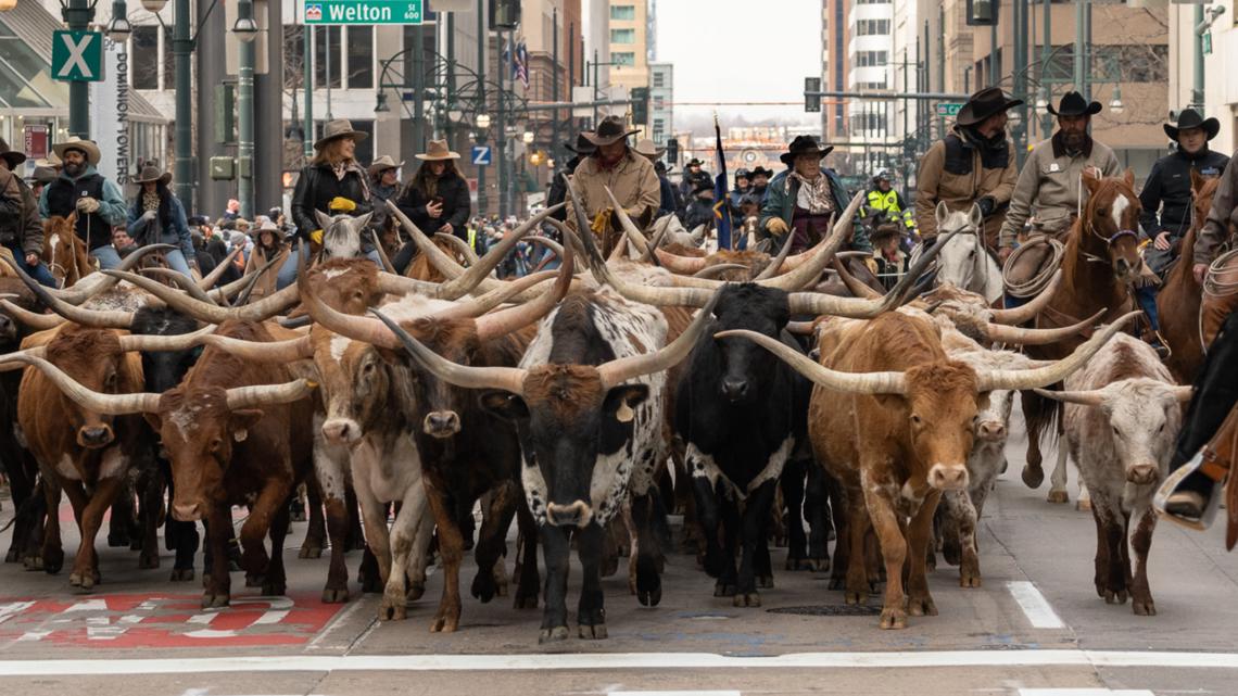 Kathy Sabine to lead 2025 National Western Stock Show Parade | 9news.com