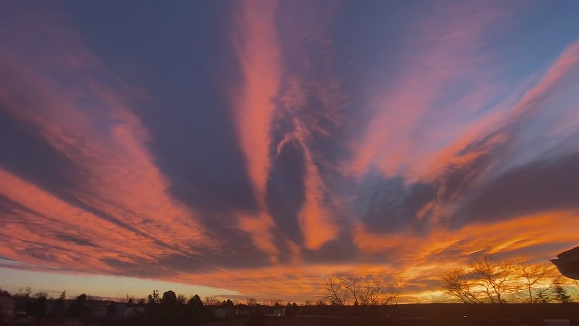 Westminster sunrise. Video: Michelle Koster
Credit: Michelle koster