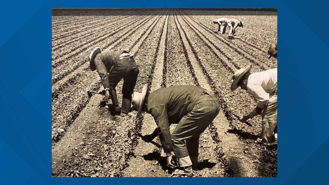 Bittersweet harvest exhibit at Greeley History Museum