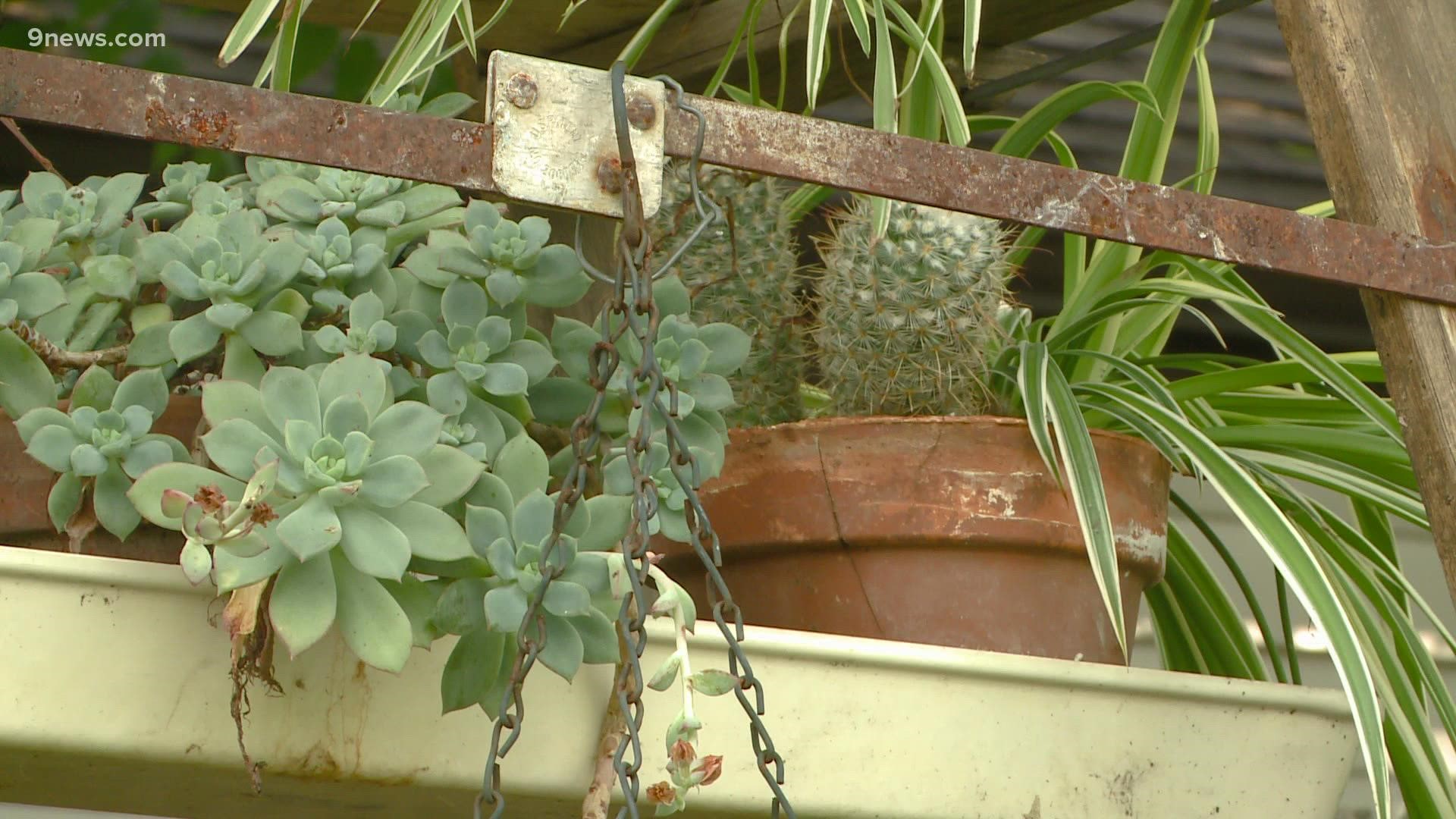 Here's how to get creative to repurpose old items in your garden planting.