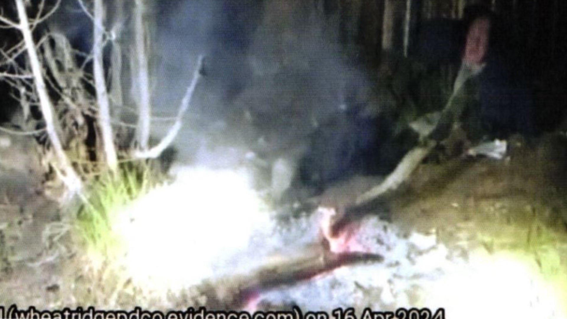 Man arrested in connection with multiple JeffCo fires | 9news.com
