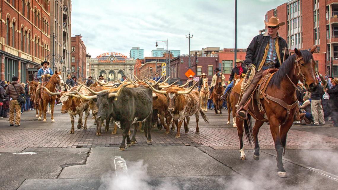 Denver's National Western Stock Show Parade takes place this week