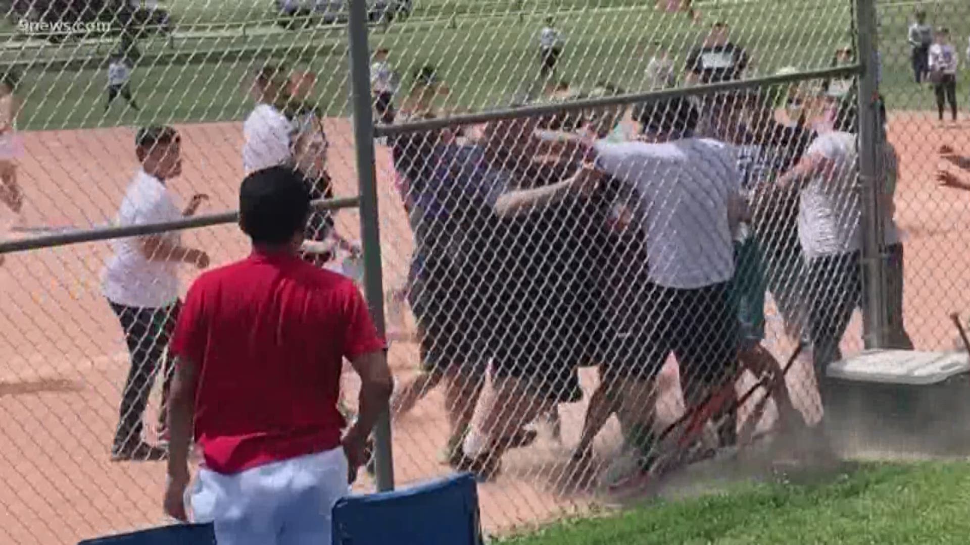 The umpire said he had warned parents about using foul language in front of 7-year-olds before the fight broke out.