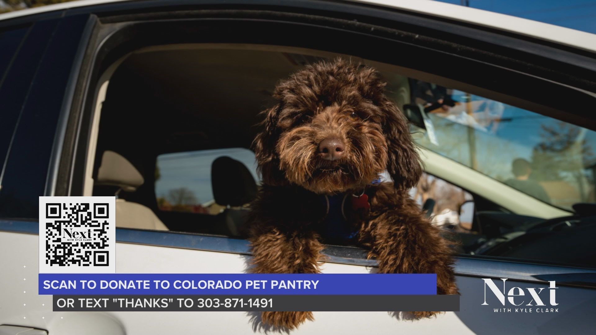 Word of Thanks Colorado Pet Pantry