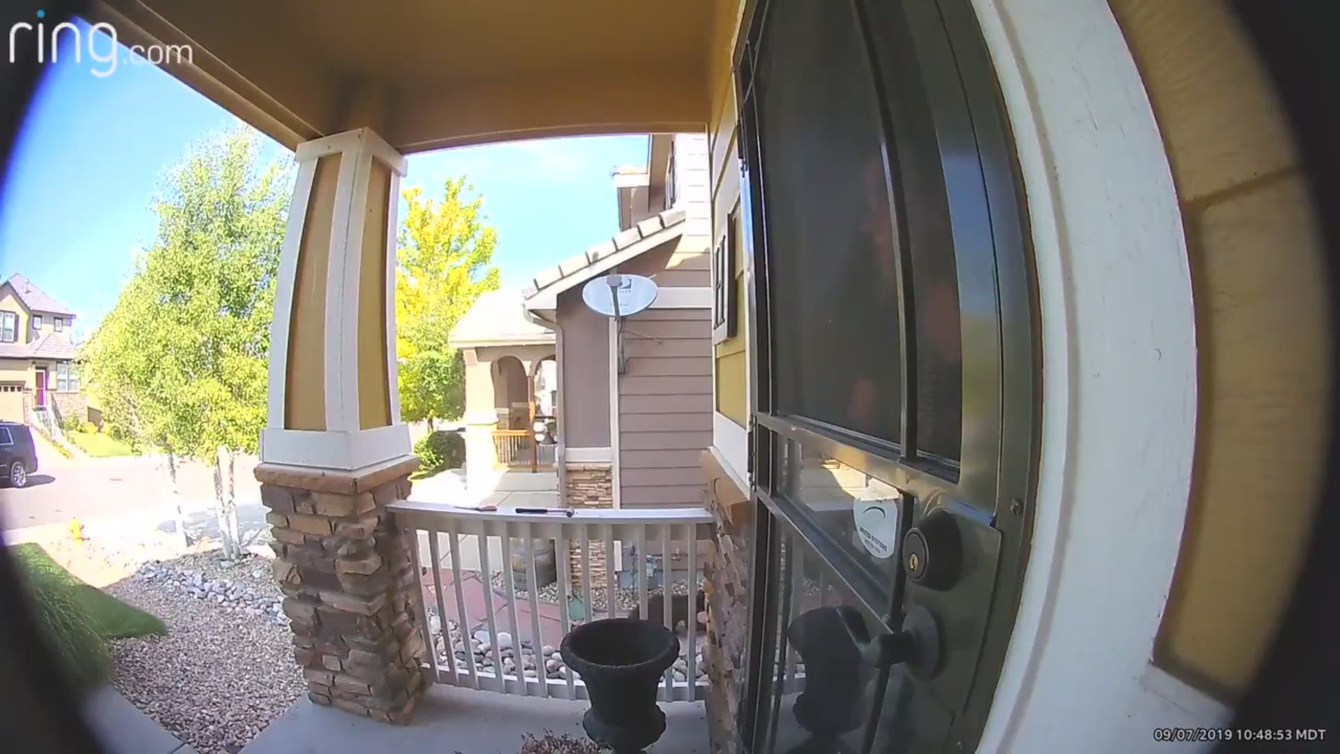 A bear cub was caught on doorbell camera wandering by the front door of a home in Highlands Ranch Saturday morning.