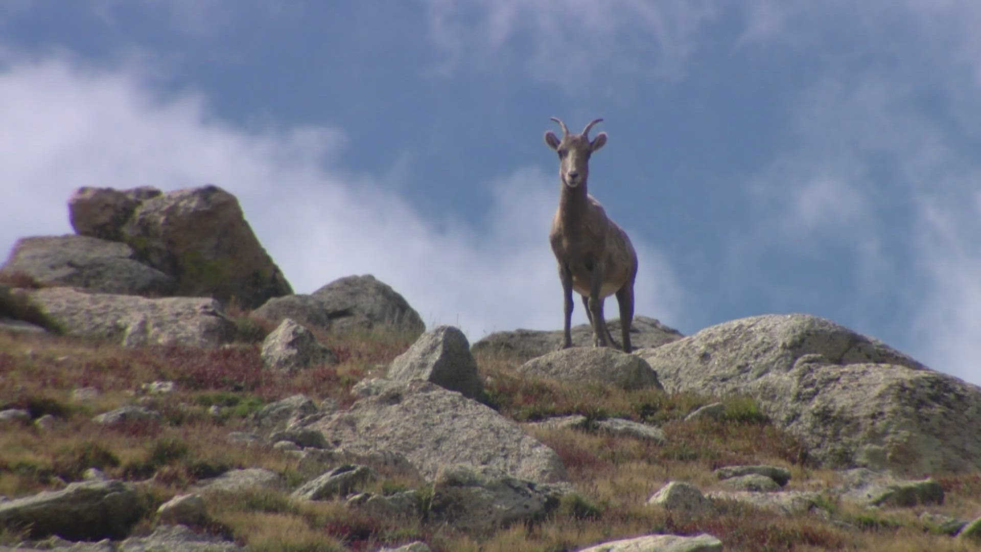 The road to the summit is closing in early September and will stay closed for repairs through early 2026.
