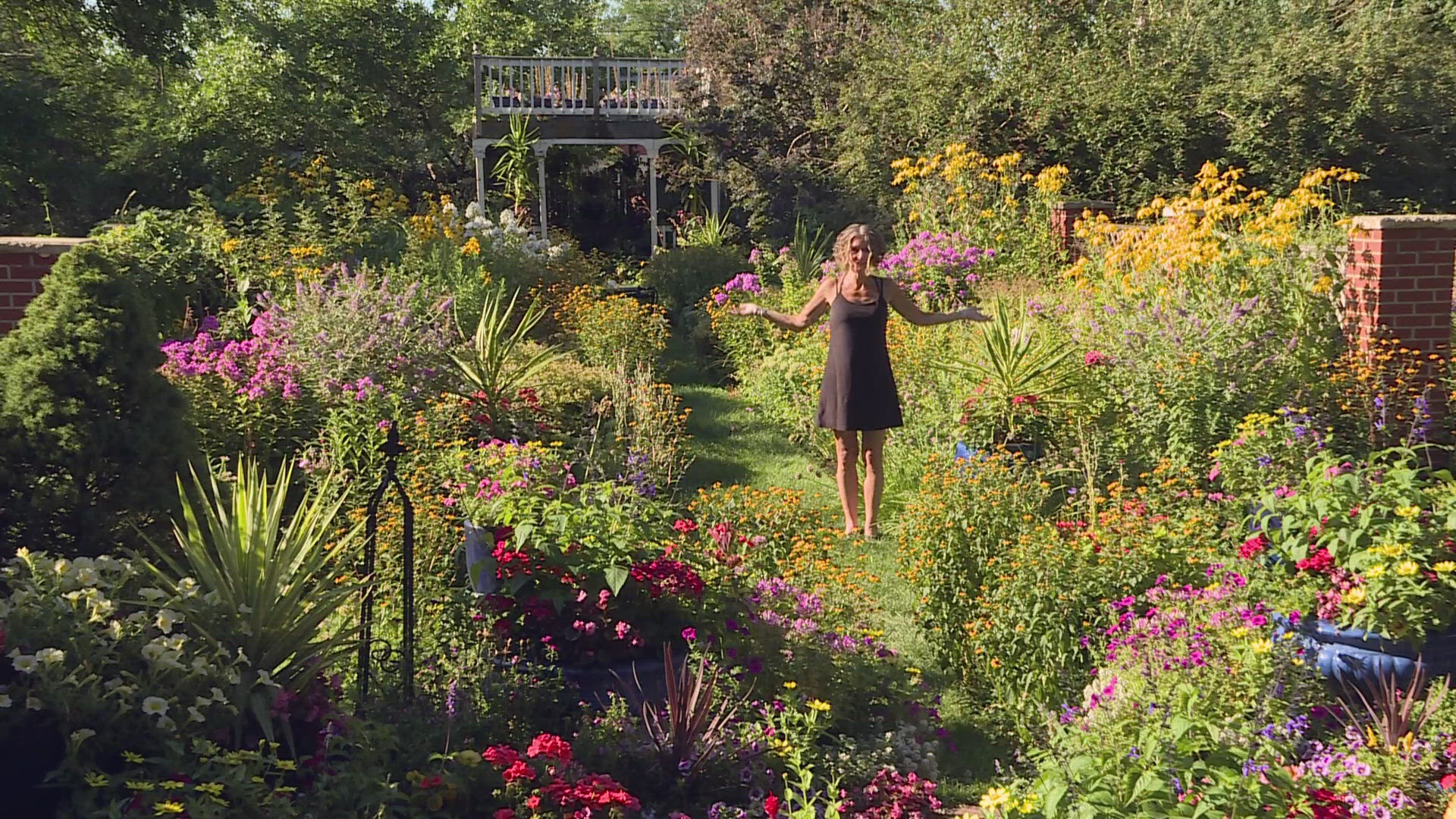 Brighten late-summer gardens with colorful blooms | 9news.com