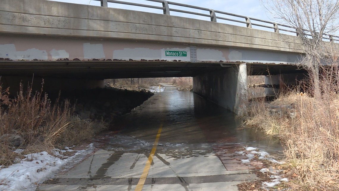 Beaver dam causing flooding on Cherry Creek trail in Denver