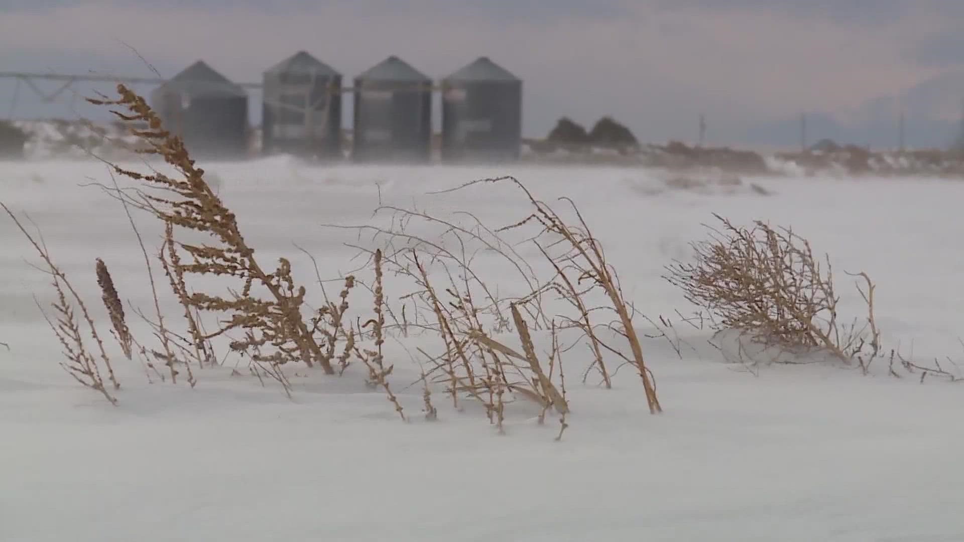 This week's blizzard was great news for the overall drought, but not good news for the winter wheat crop.