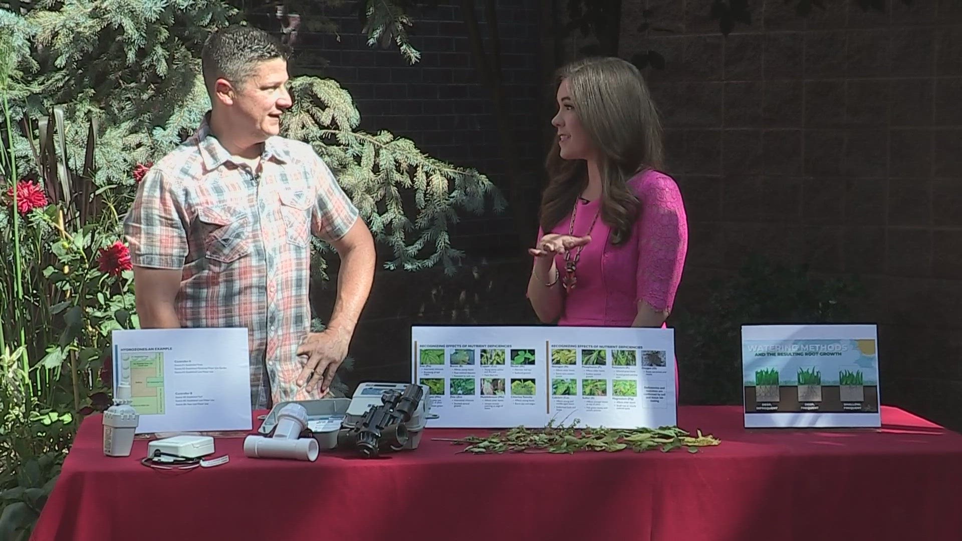 Adam Thompson with the Associated Landscape Contractors of Colorado answers our questions about lawn irrigation.