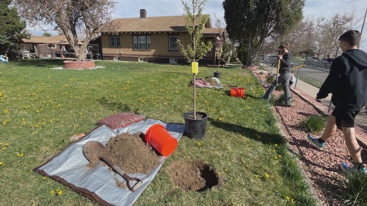 Effort continues to get more trees planted in Globeville