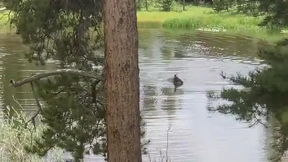 Grand Lake Water World