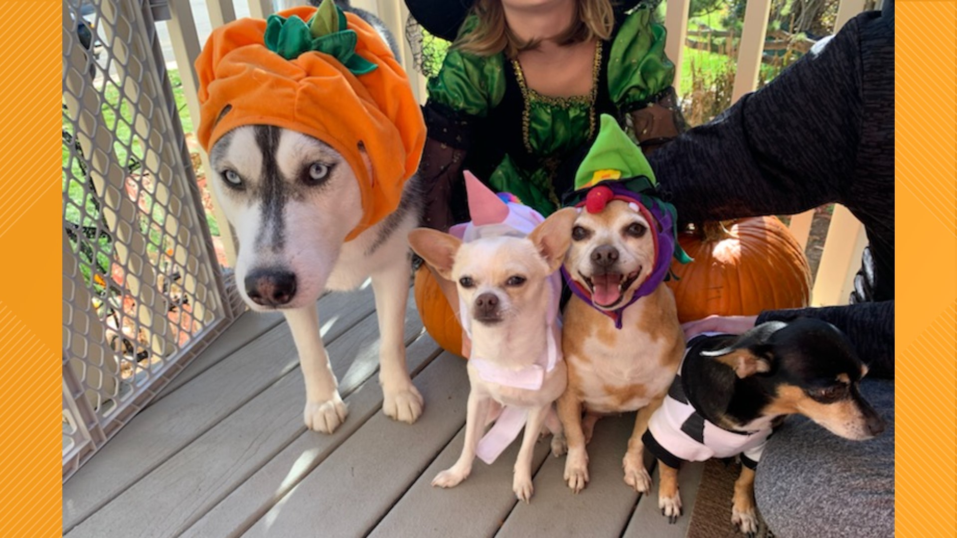 PHOTOS Halloween costumes and decorations!