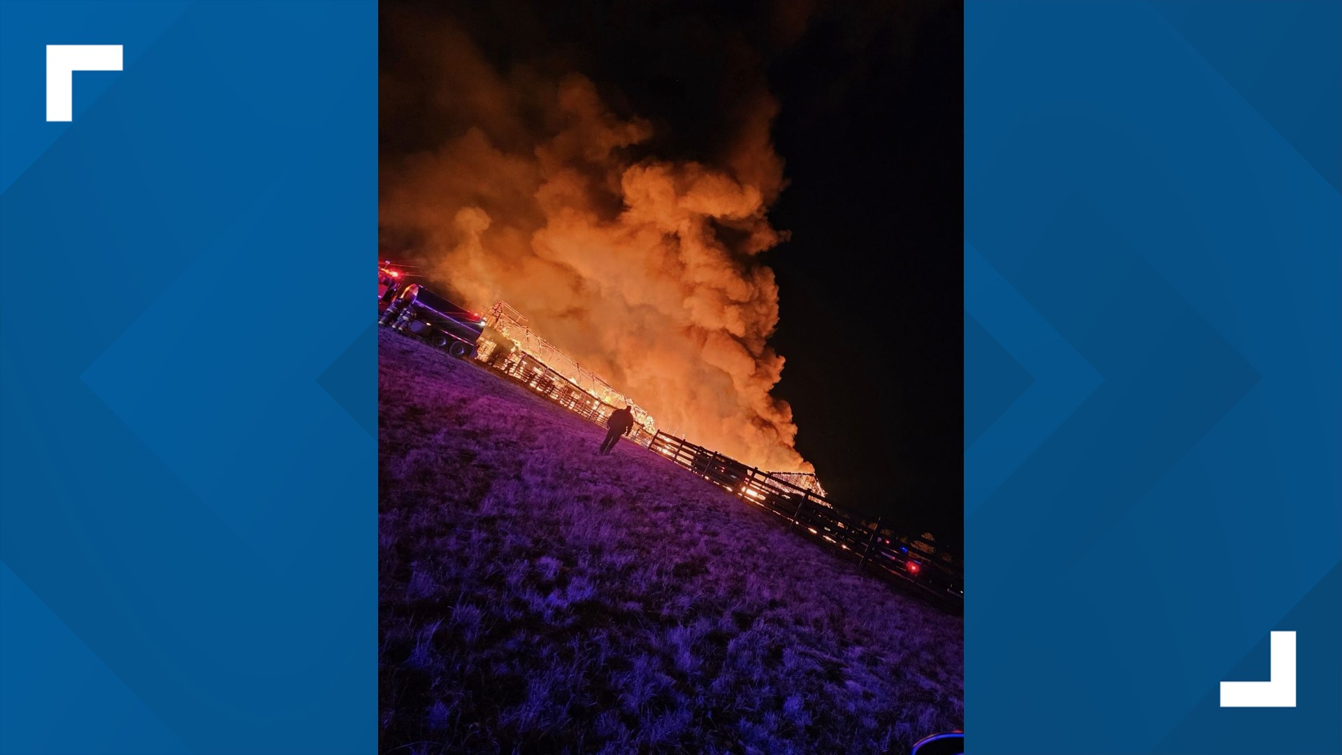 Man risked his life to save horses from Colorado stable fire