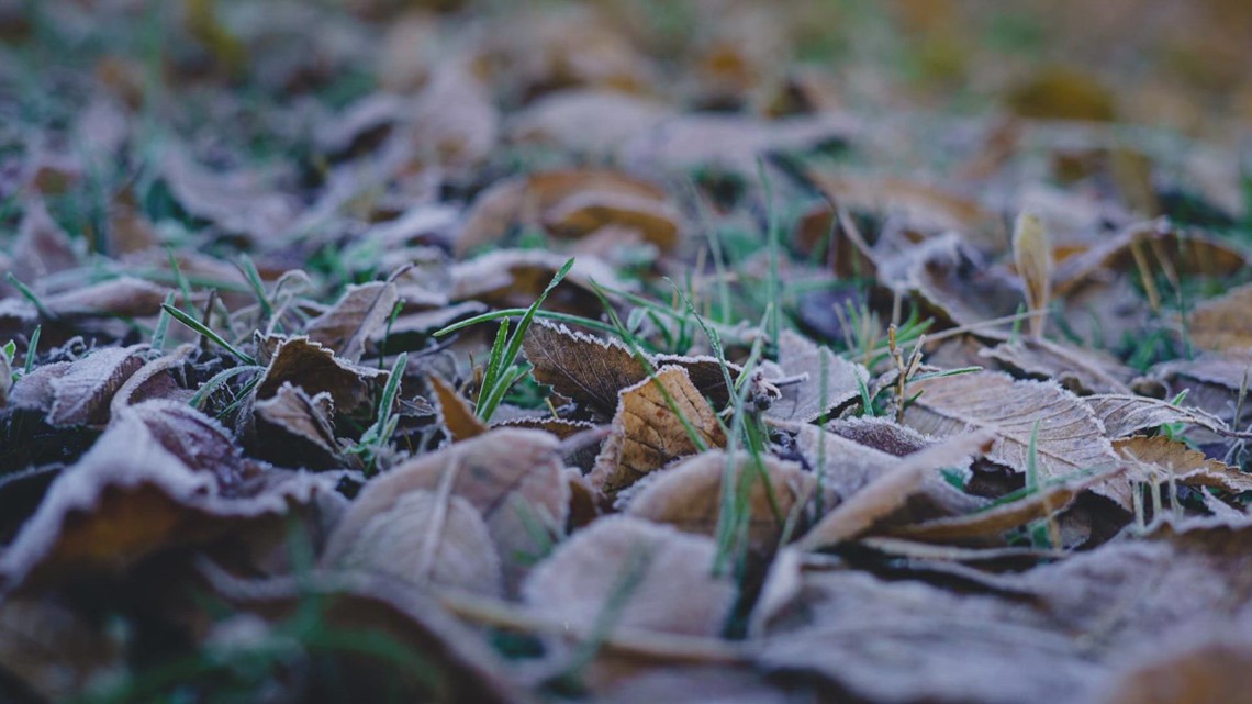 What's the difference between frost, freeze and hard freeze