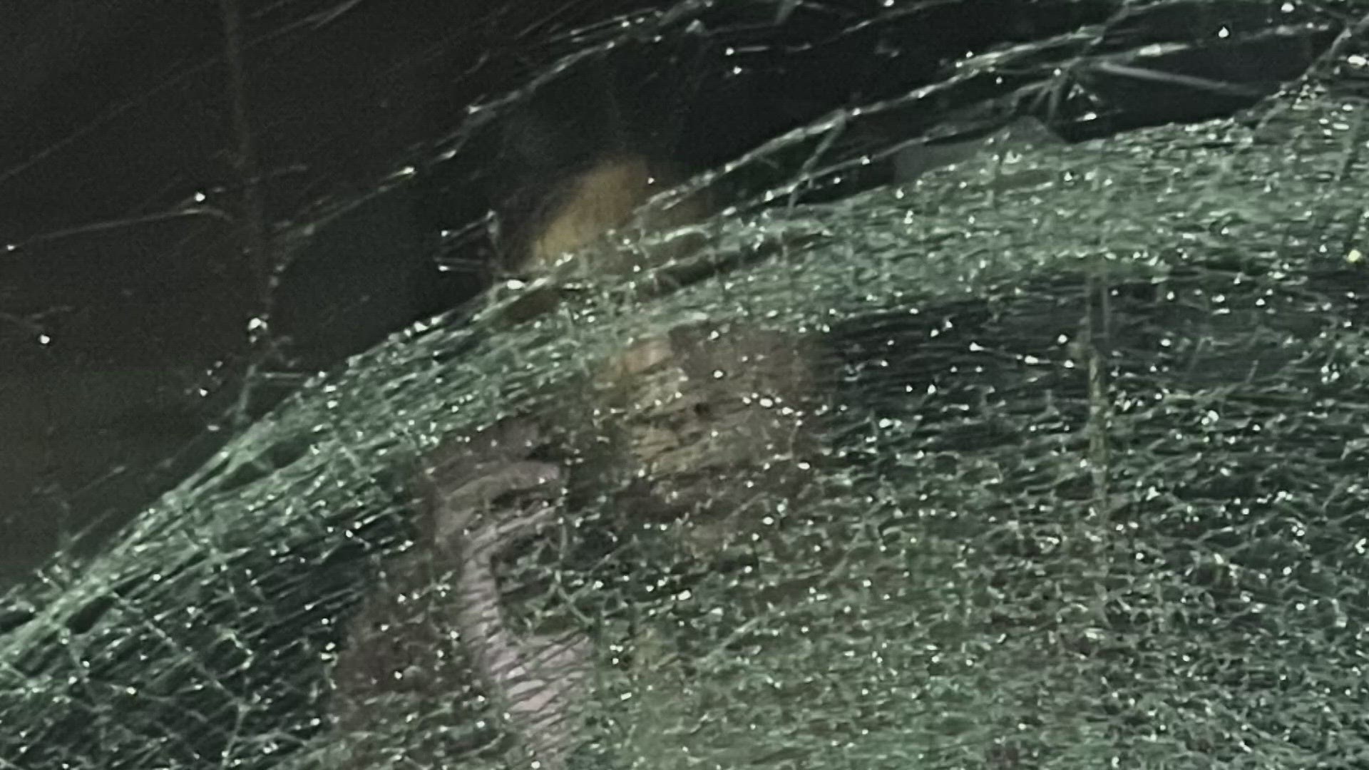 Itzel Gierach and her husband said Thursday night, they were driving along Highway 60 near Johnstown when something hit and smashed their windshield.
