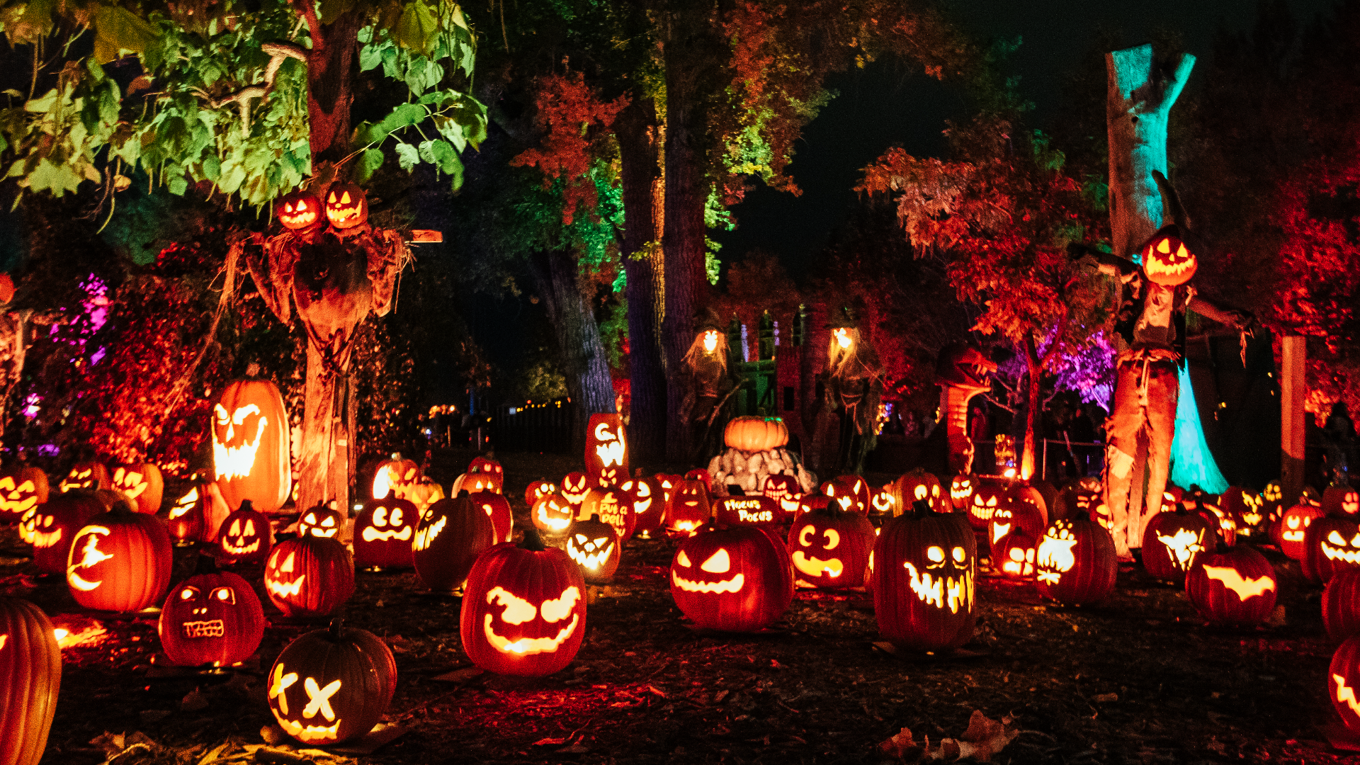Magic of the Jack O’Lanterns features a glowing trail of more than 7,000 pumpkins, as well as light show displays such as a nautical sea-scape, and dinosaurs.