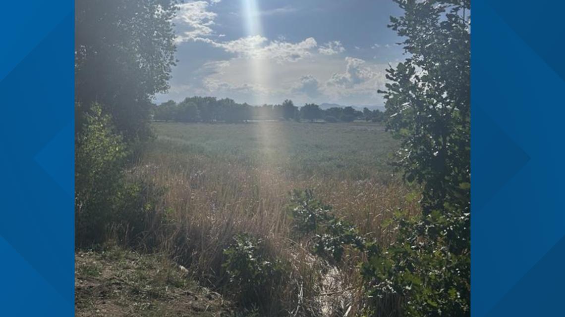 Athmar Park neighbors hope city of Denver can restore Huston Lake water ...