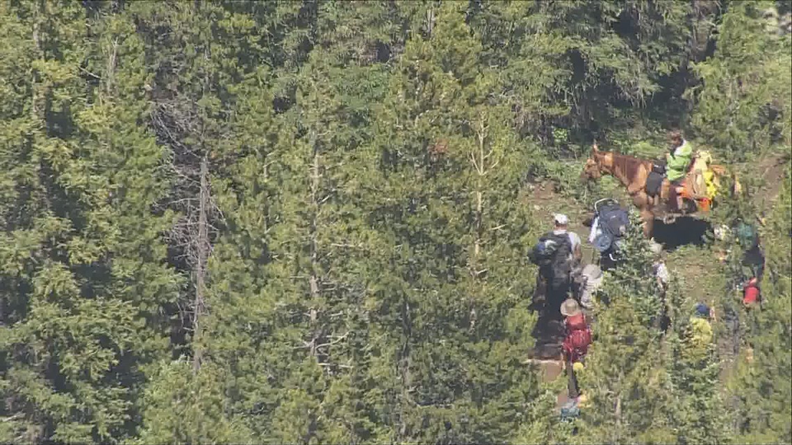 Boy missing in Rawah wilderness area of Larimer County found | 9news.com