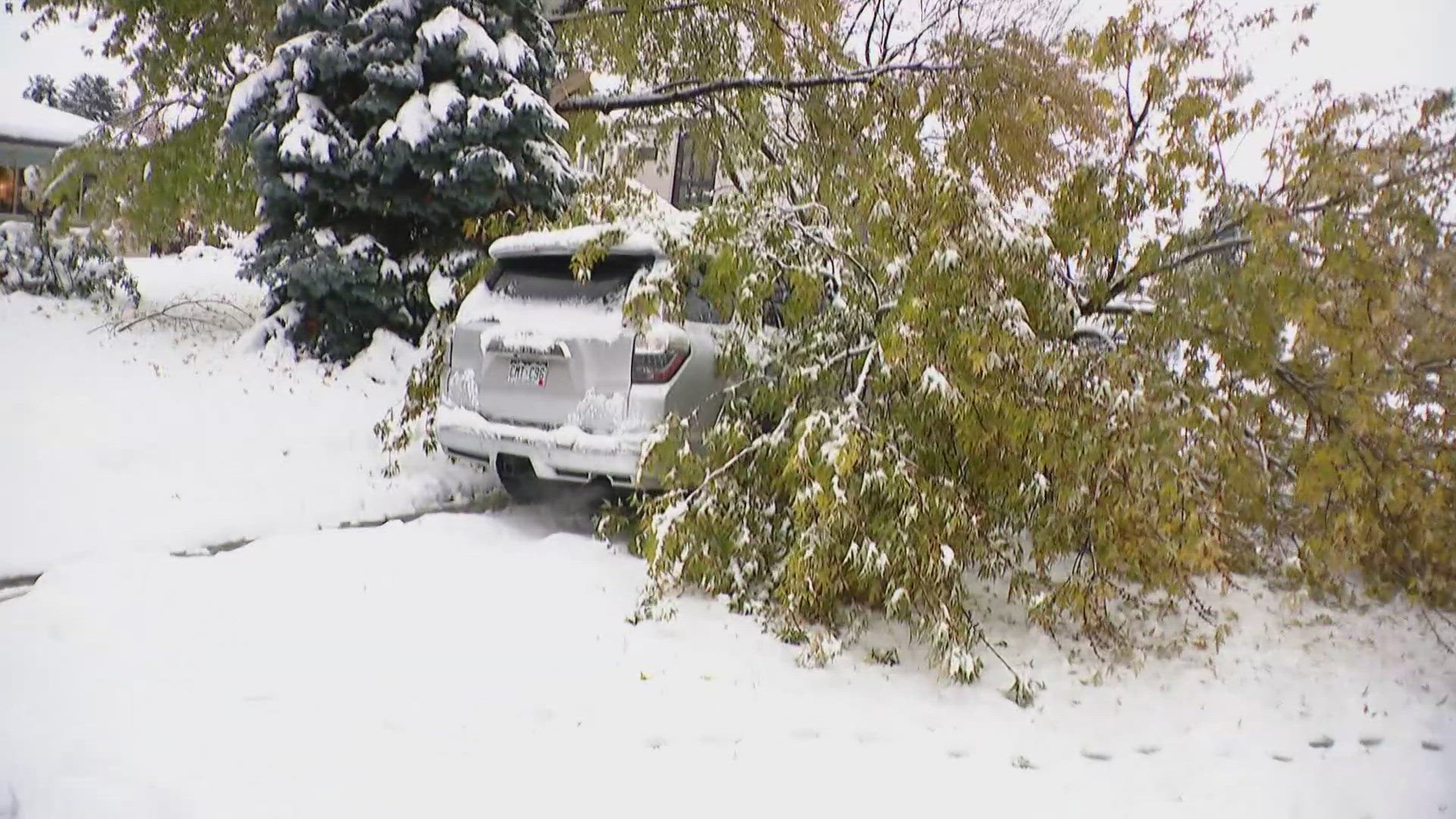 At least one branch landed on a vehicle, causing significant property damage.