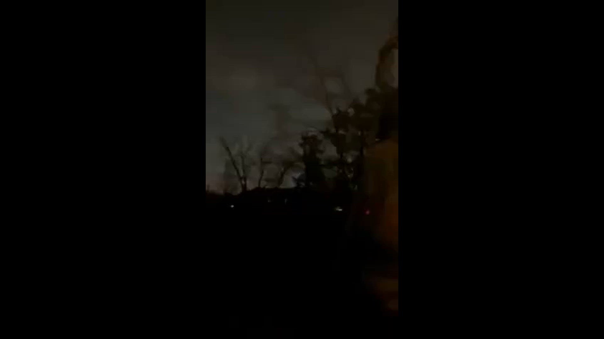Sparks in a tree behind my house
Credit: Eric