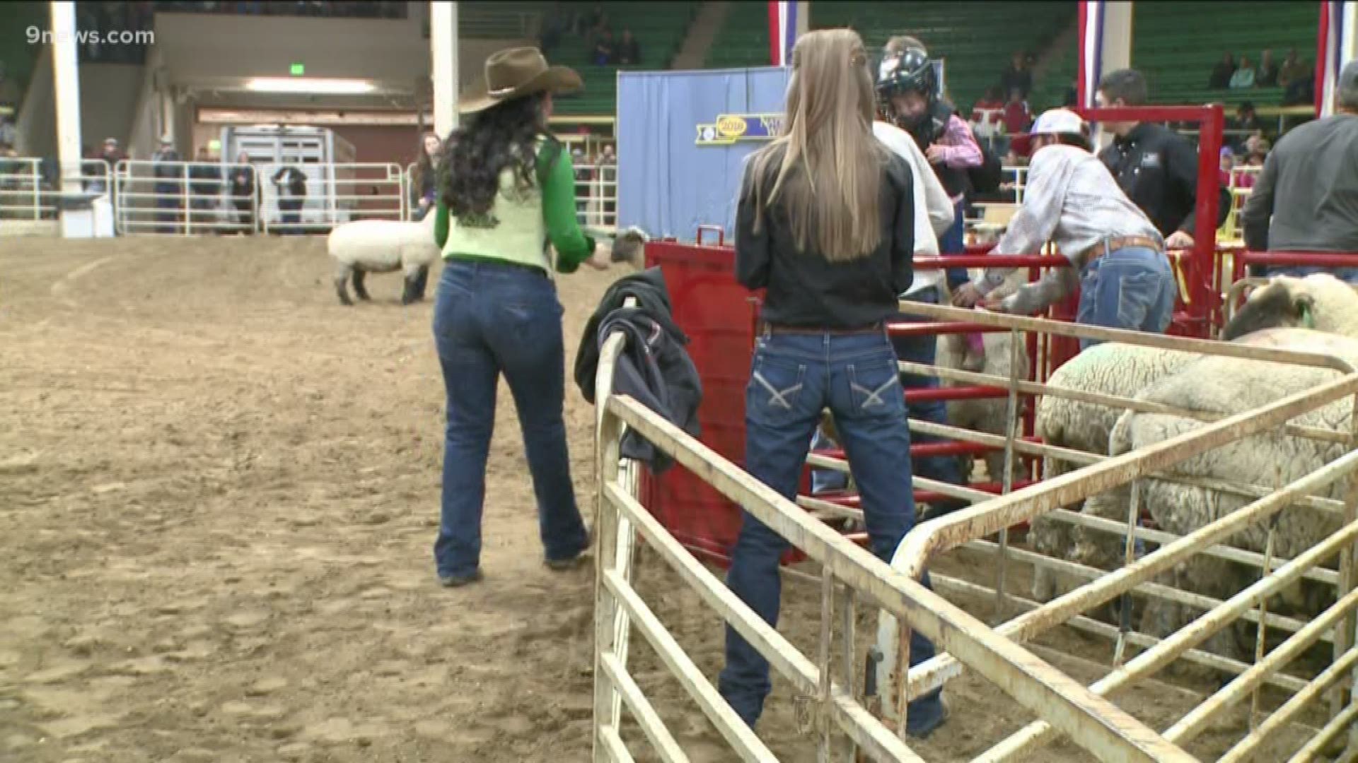 Hundreds of thousands of people visit the stock show each year, which runs through January 26.