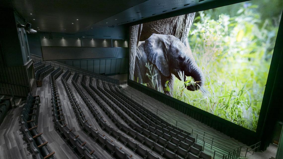 Denver Museum Of Nature And Science Opens Reopens IMAX Theater 9news