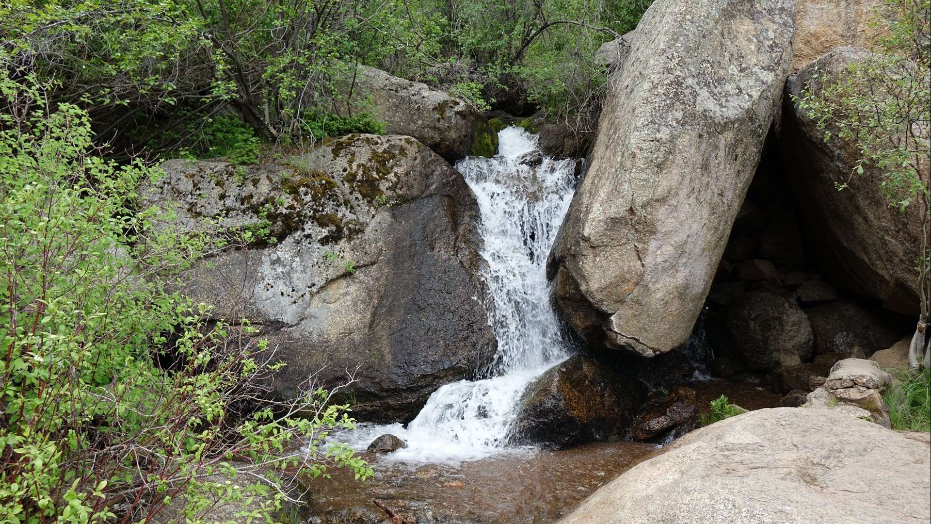 Families have been coming to Green Mountain Falls for 130 years