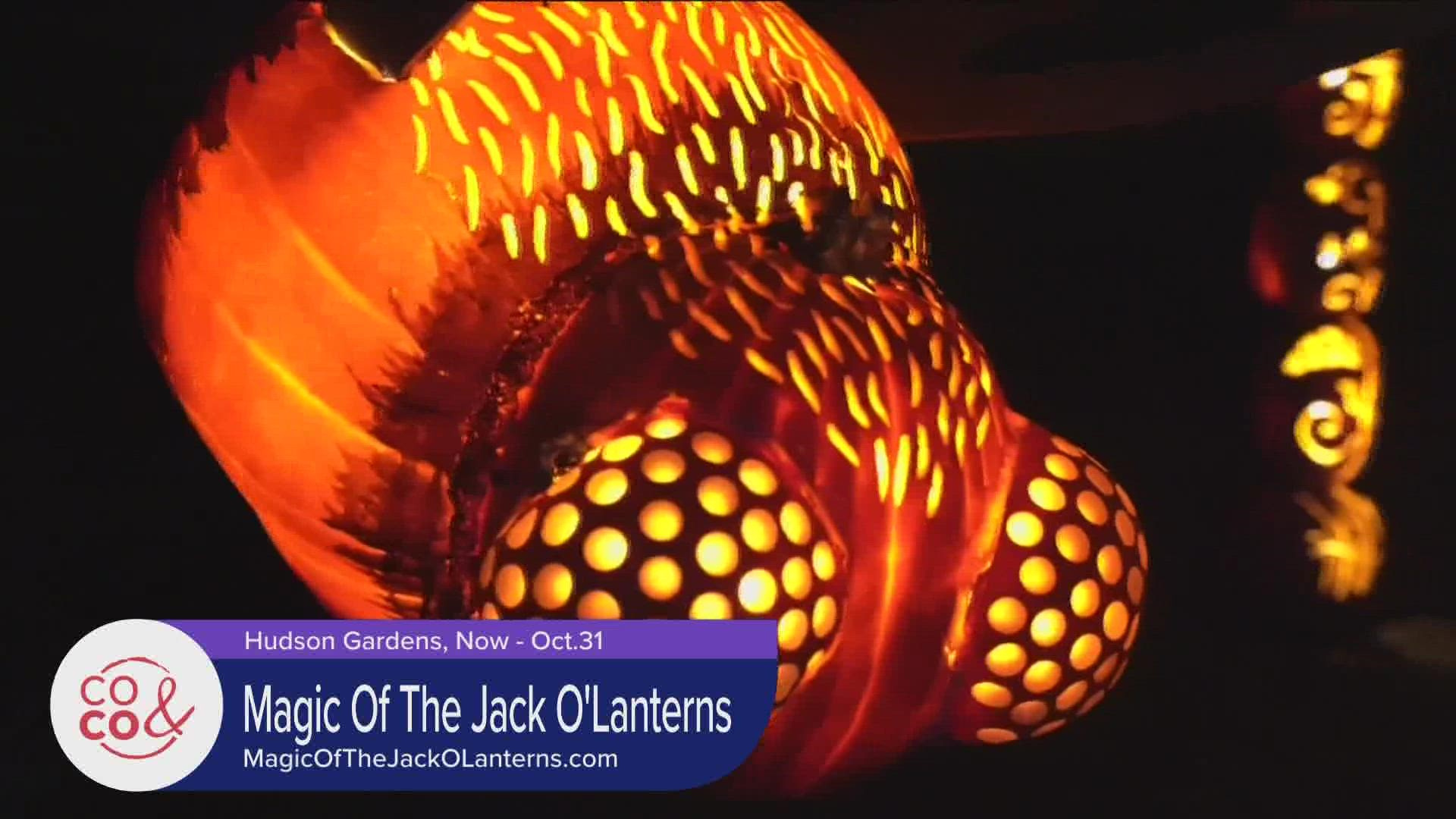 Don't miss Magic of The Jack O'Lanterns at Hudson Gardens in Littleton with over 7,000 carved pumpkins. It's going on now until October 31.