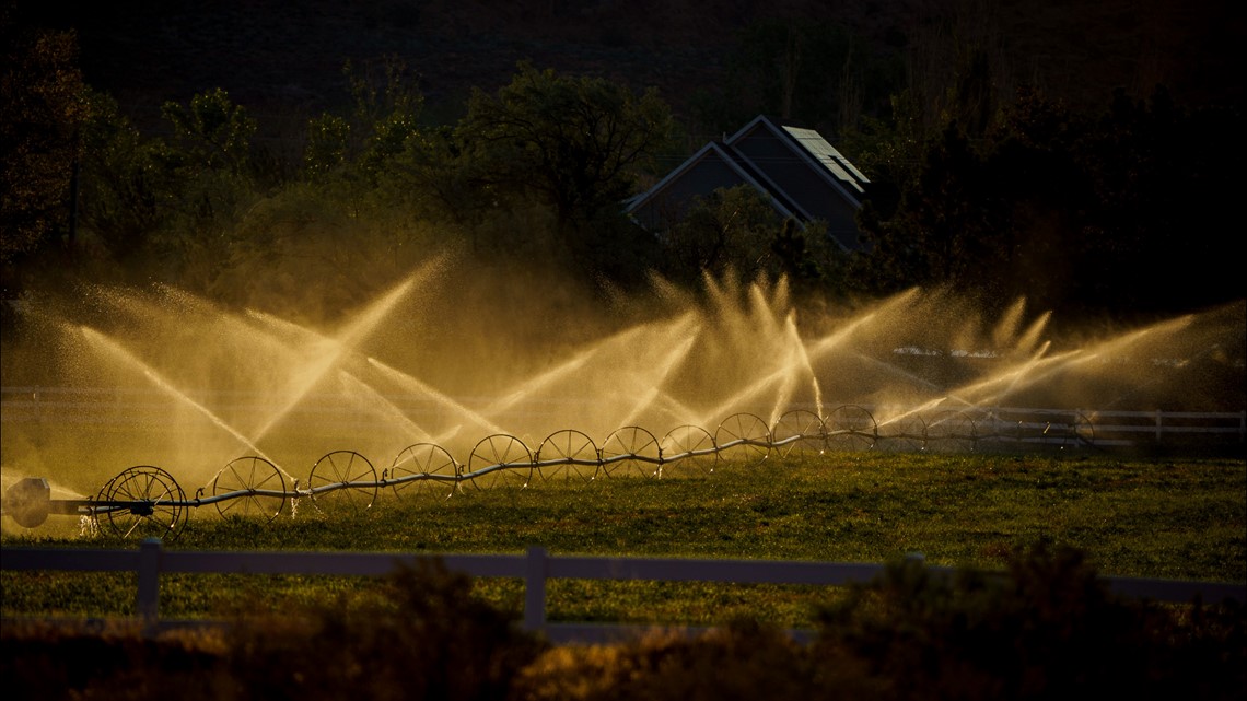 Utah desert farms flourish with water from Colorado River - Vimarsana News