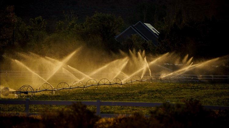 Desert farms in Utah flourish with water from Colorado River