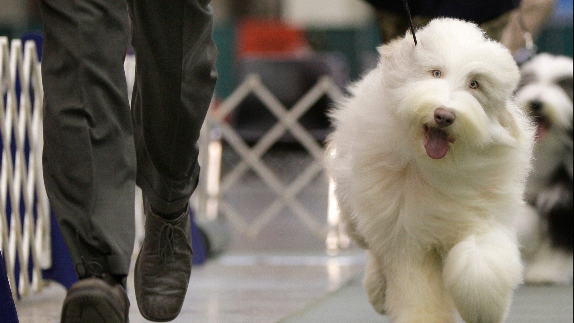 9Things to do in Denver and Colorado this Presidents' Day weekend