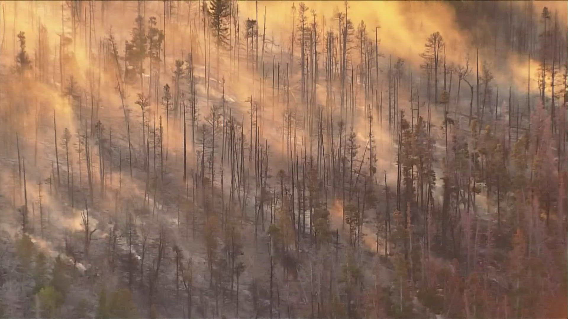 The U.S. Forest Service on Tuesday morning took over command of the Pearl Fire, which has burned about 138 acres with no containment and forced mandatory evacuations